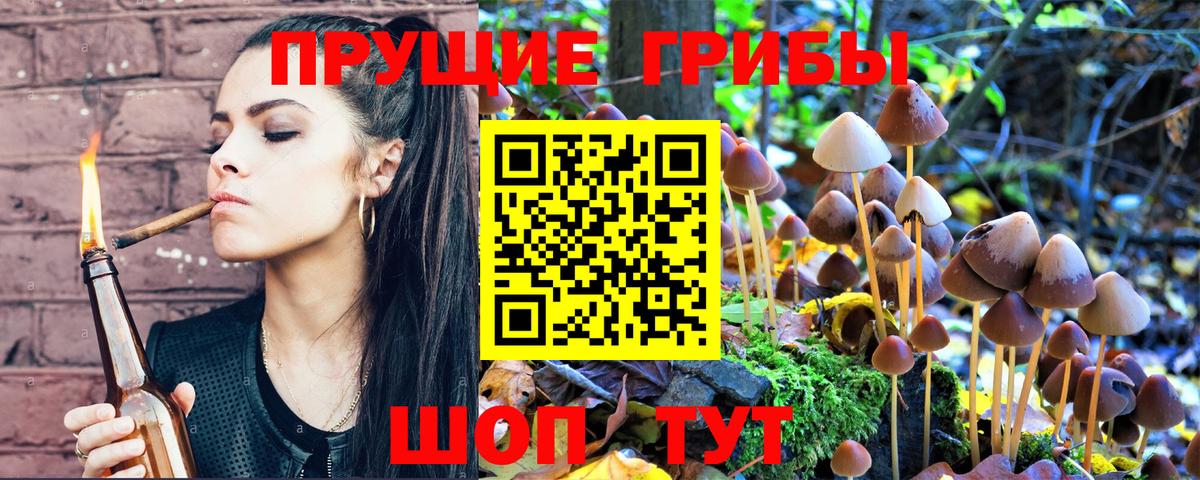 Псилоцибиновые грибы MAGIC MUSHROOMS  наркотики  Родники  Вход с VPN 